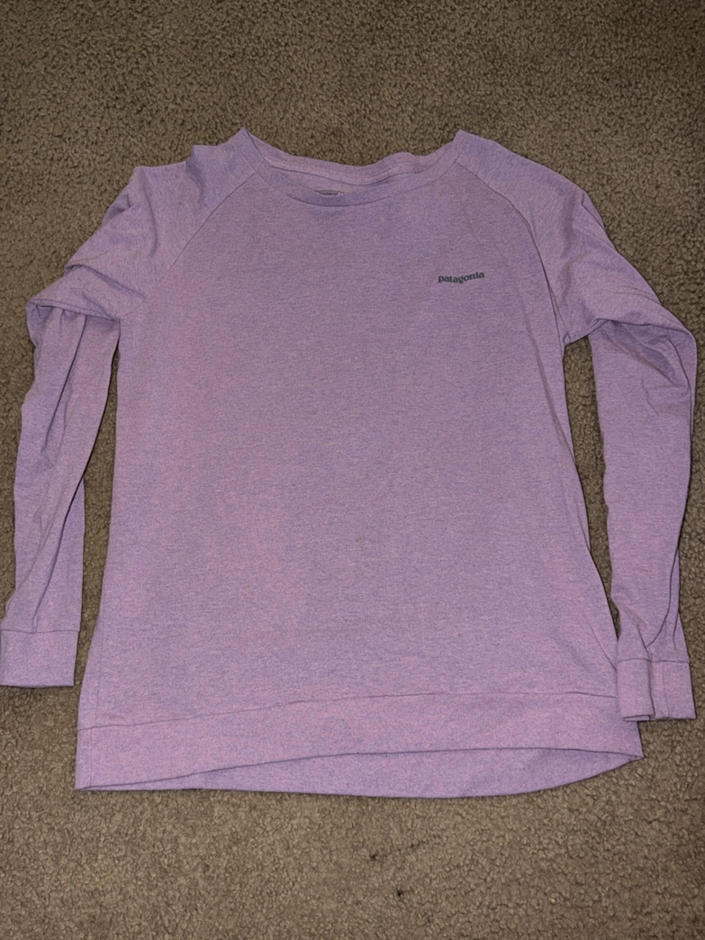 Patagonia Lavender Crewneck Sweatshirt - Women's Long Sleeve